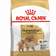Сухой корм Rayal Canin Pomeranian Adult для собак породы Померанский шпиц старше 8 месяцев 500 г